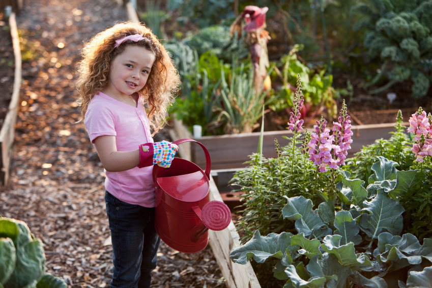 coltivare orto con i bambini
